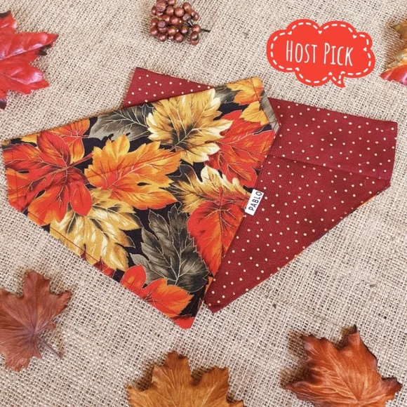 🐶 5 for $15 * Pablo Fall Autumn Leaves/Red Gold Dots Cotton Dog Bandana - Picture 2 of 9